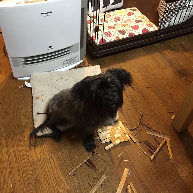emiさんの実例写真