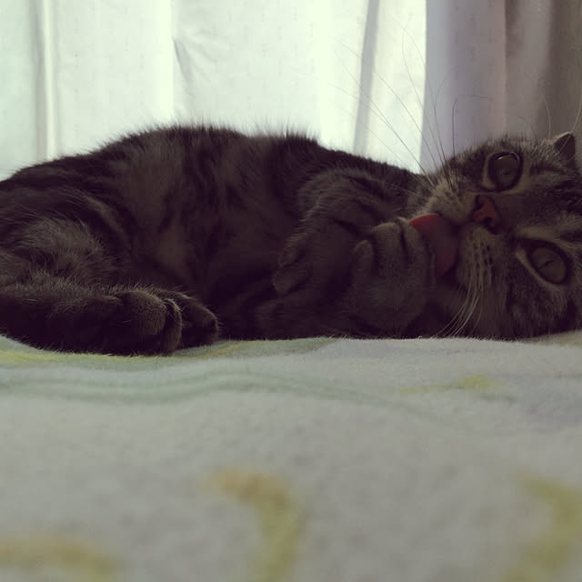 richanさんの実例写真