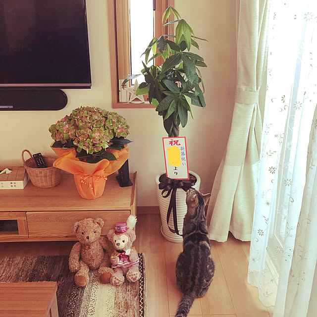 sorayumeさんの実例写真