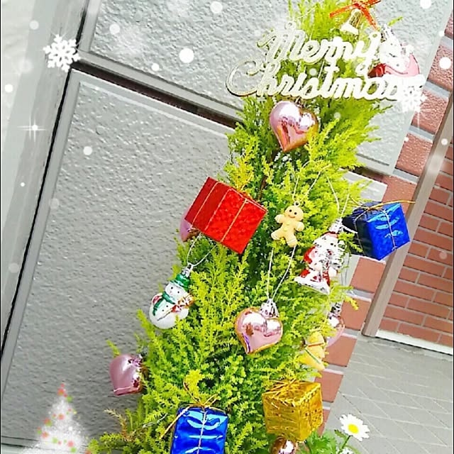 Erikoさんの実例写真
