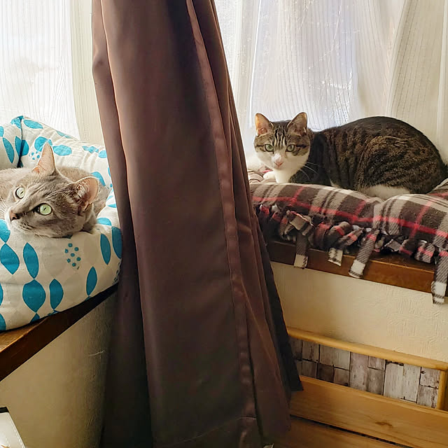 kiraさんの実例写真