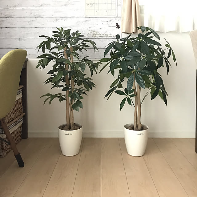 tobimoriekoさんの実例写真