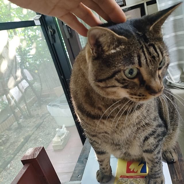 mori_6_12さんの部屋