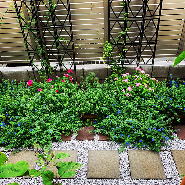 LiTaさんの実例写真