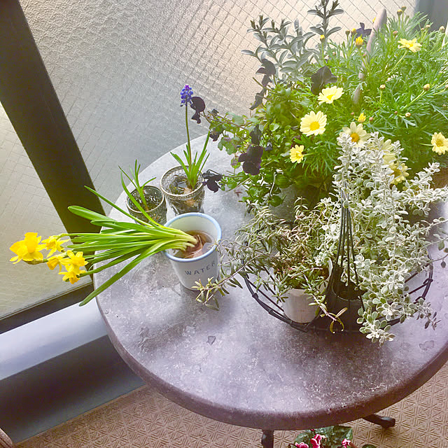 naokoさんの実例写真