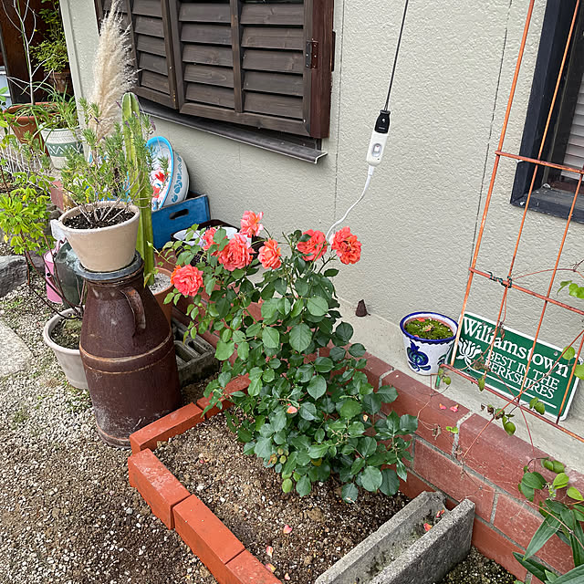 shin0719さんの実例写真