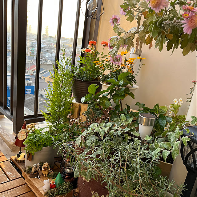 tmr.さんの実例写真