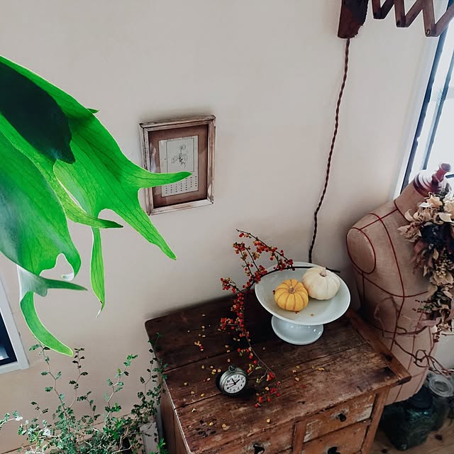 petitesplumesさんの部屋