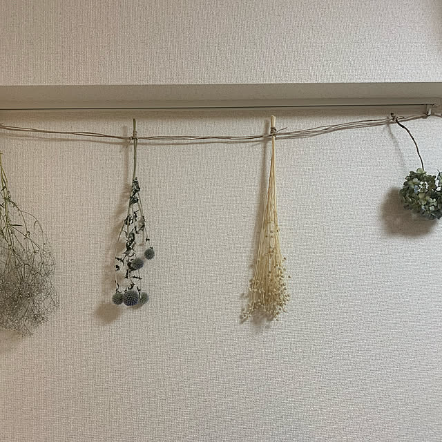 aoiさんの実例写真