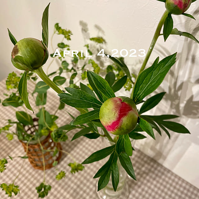 yasuyo66さんの実例写真