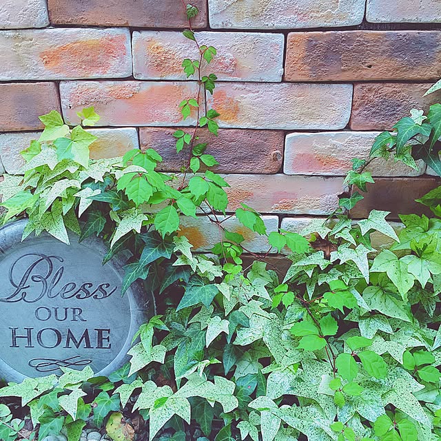 risaさんの実例写真