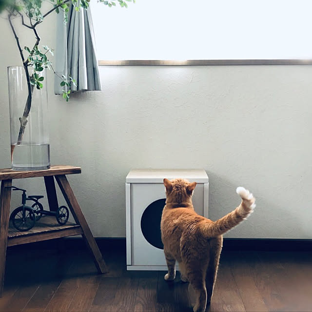 Yuukopeeeさんの実例写真