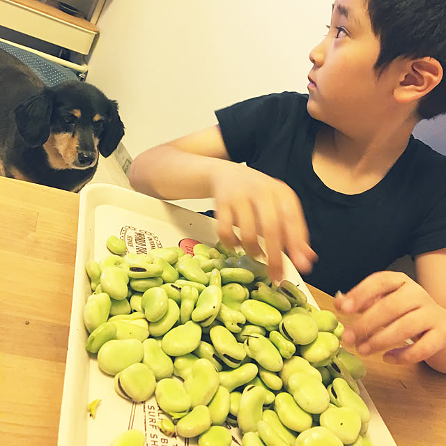 ohanaさんの実例写真