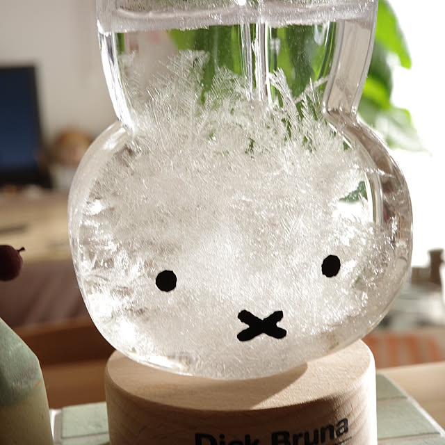 mangoさんの部屋