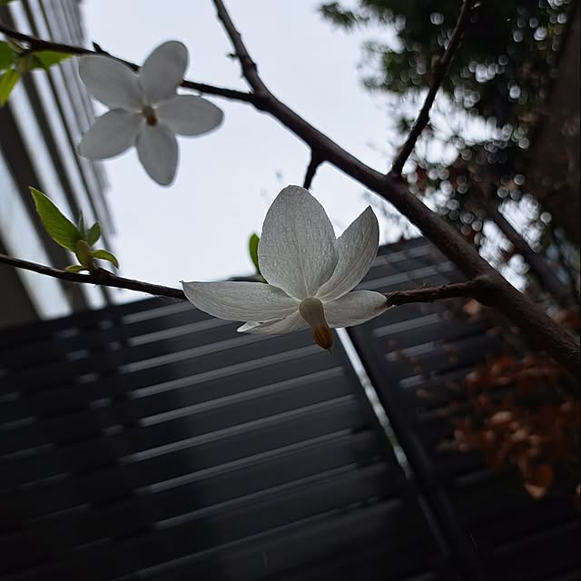 monoさんの実例写真