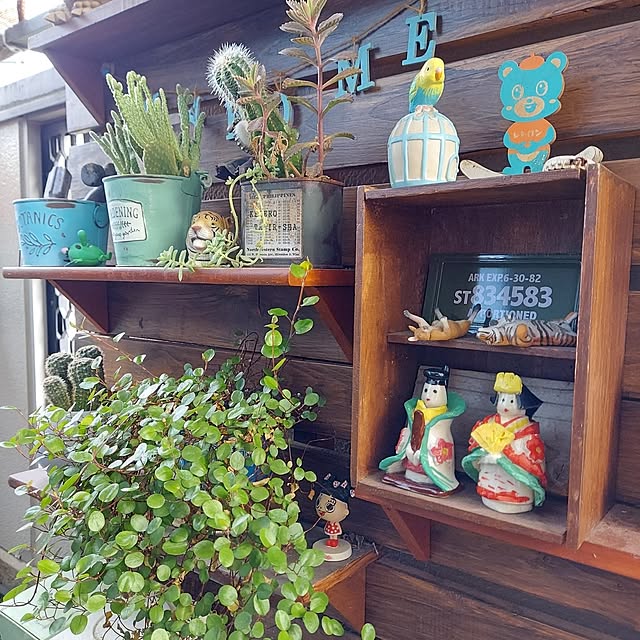 chizuさんの部屋