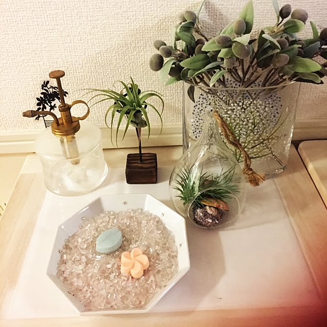 wildswanさんの実例写真