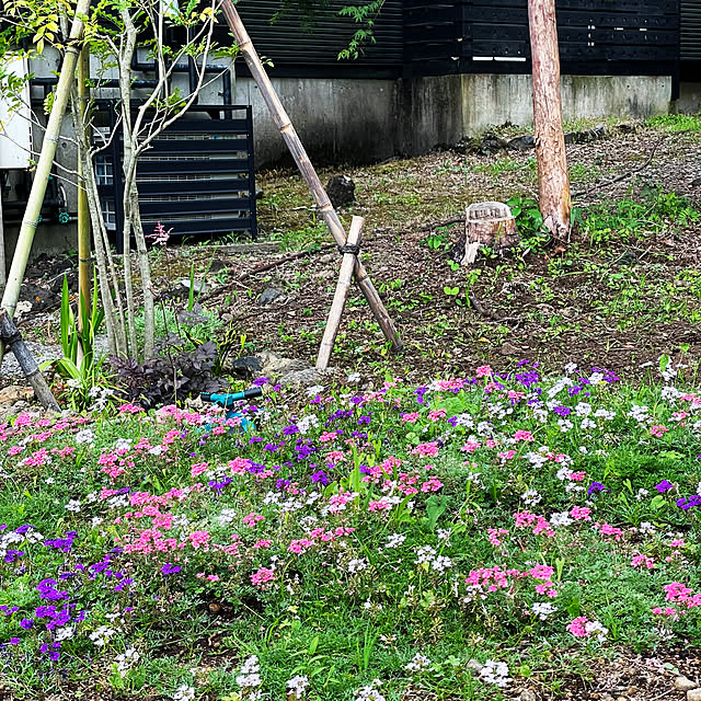 kabu10さんの部屋