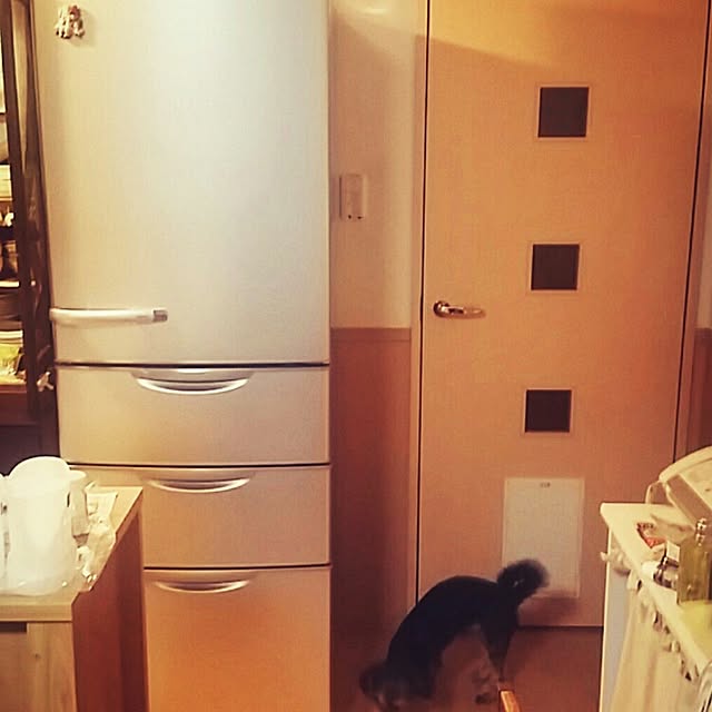yamaさんの実例写真