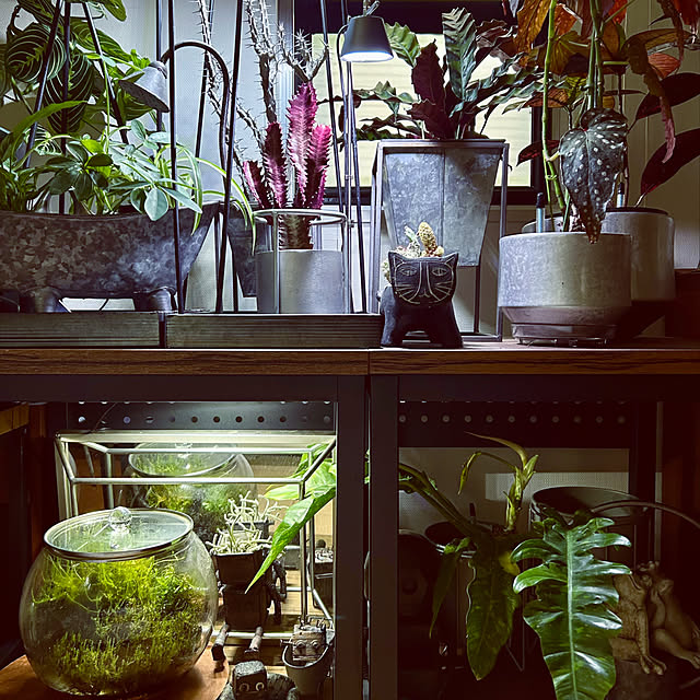 DAYONEさんの実例写真