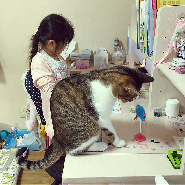 yurari.bonnさんの実例写真
