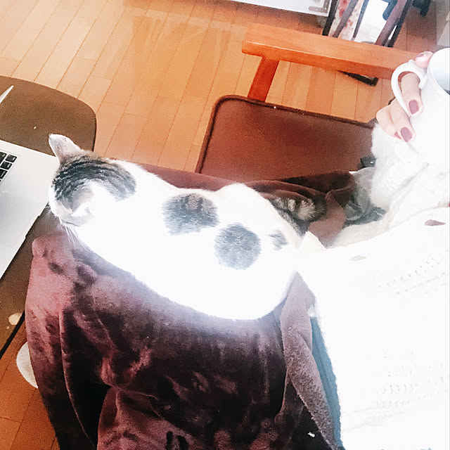 Hikariさんの実例写真