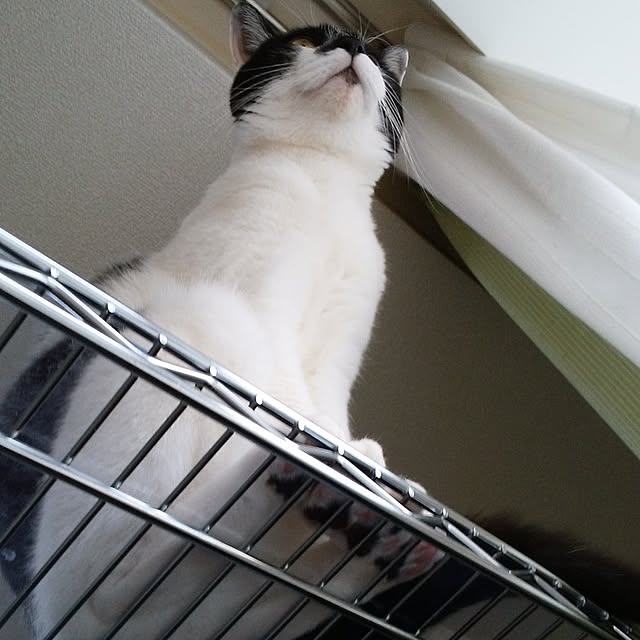 NOAHさんの部屋