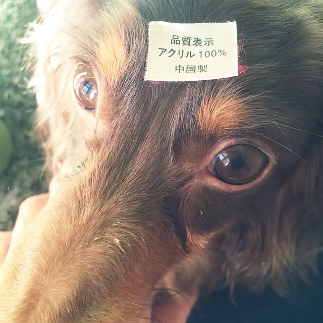 me2さんの実例写真