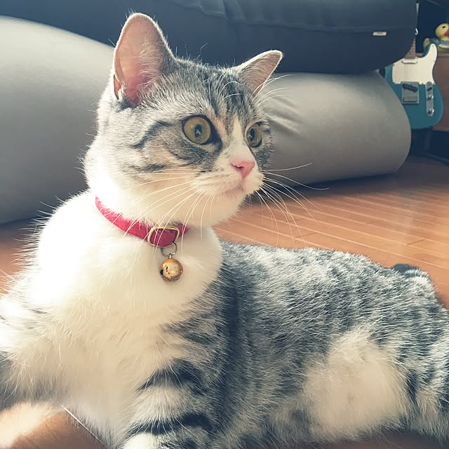 Shojiさんの実例写真
