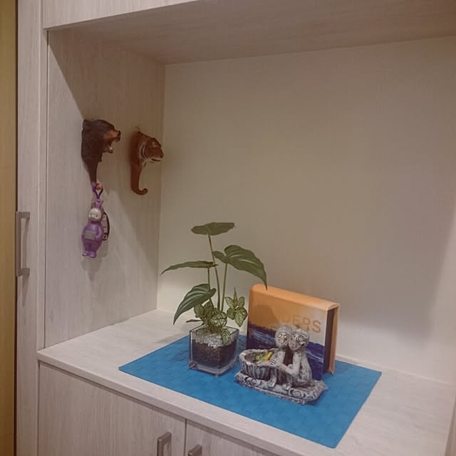 aocさんの実例写真