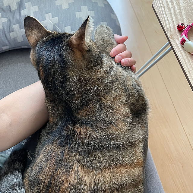 chiiさんの部屋