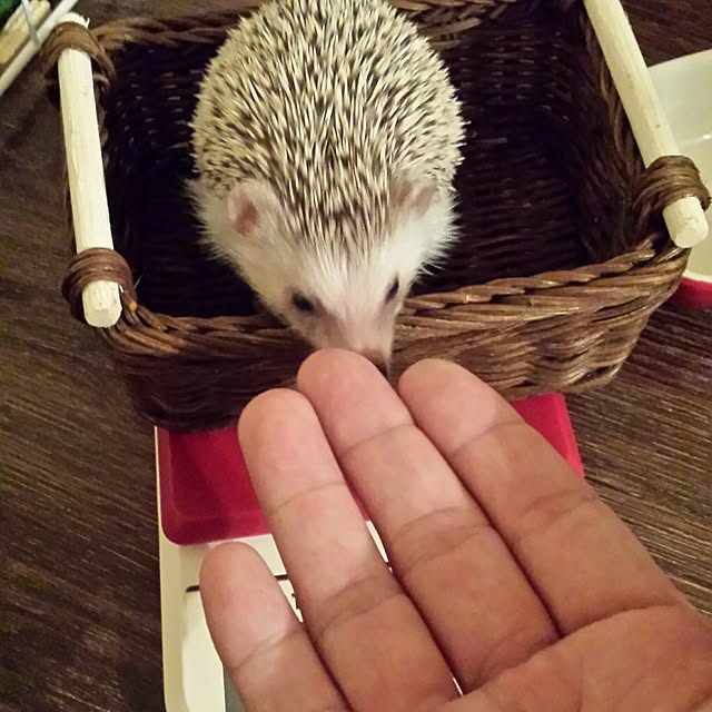 MINIさんの実例写真