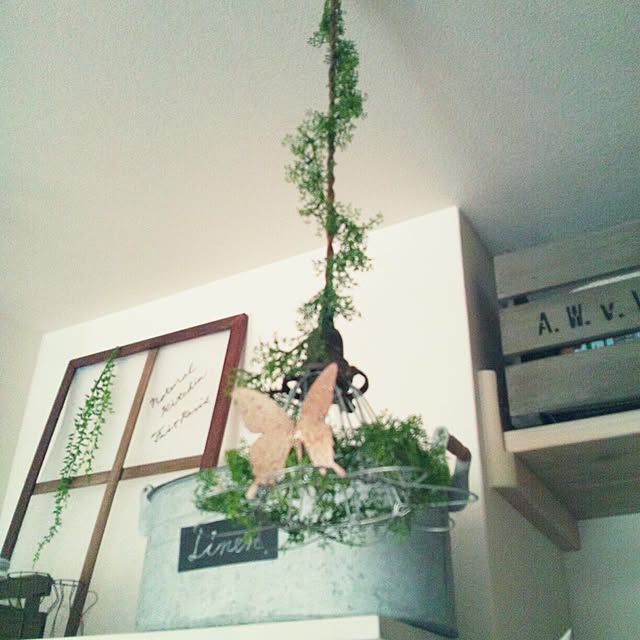 m.hinaさんの実例写真