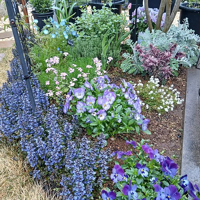 kaanaさんの実例写真