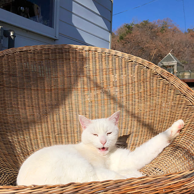 weさんの実例写真