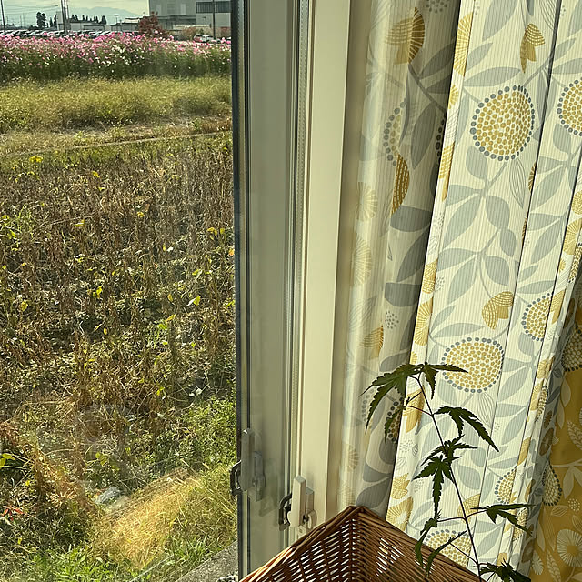 chiiyanさんの部屋