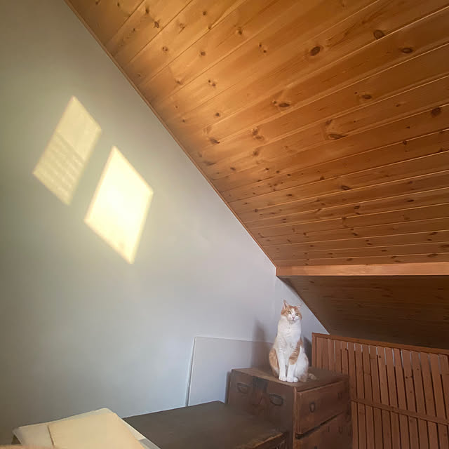 senbei.sakuramochiさんの実例写真