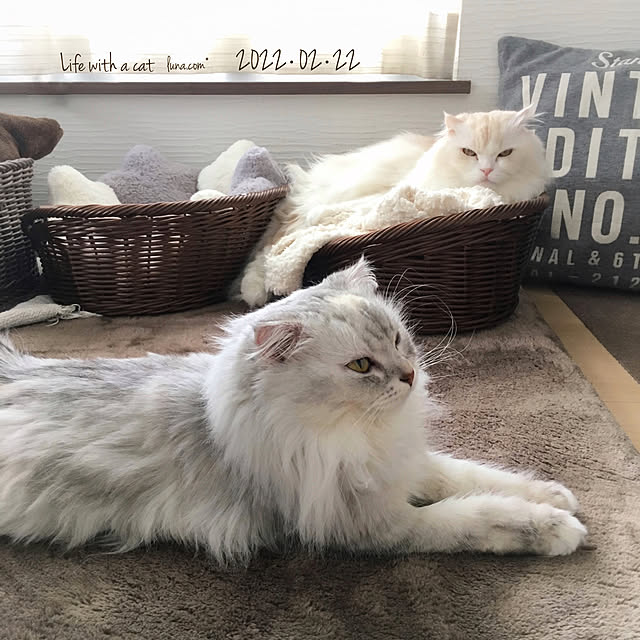 luna.comさんの実例写真