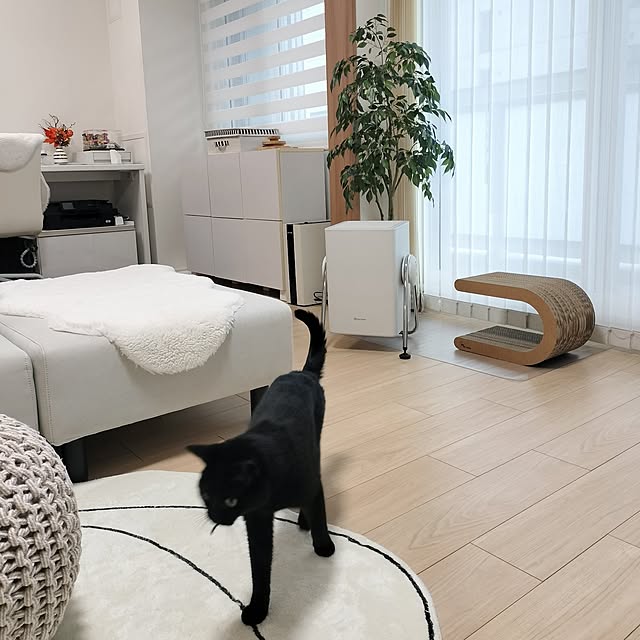 sakuraさんの実例写真