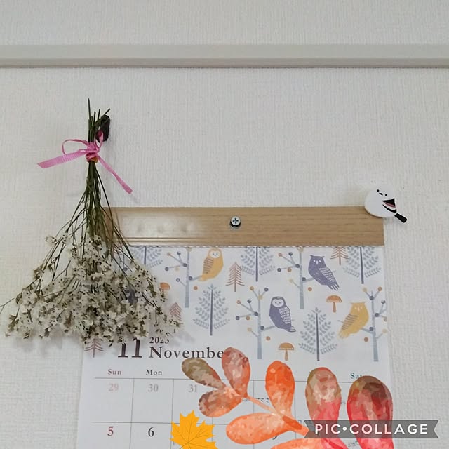25Moondropsさんの部屋