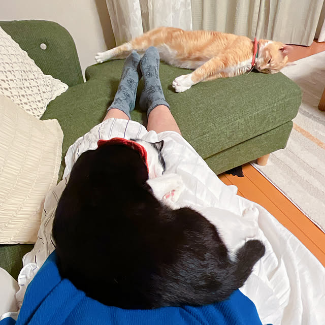 moolさんの部屋