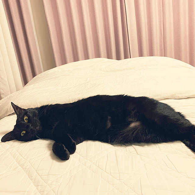 mameazさんの実例写真