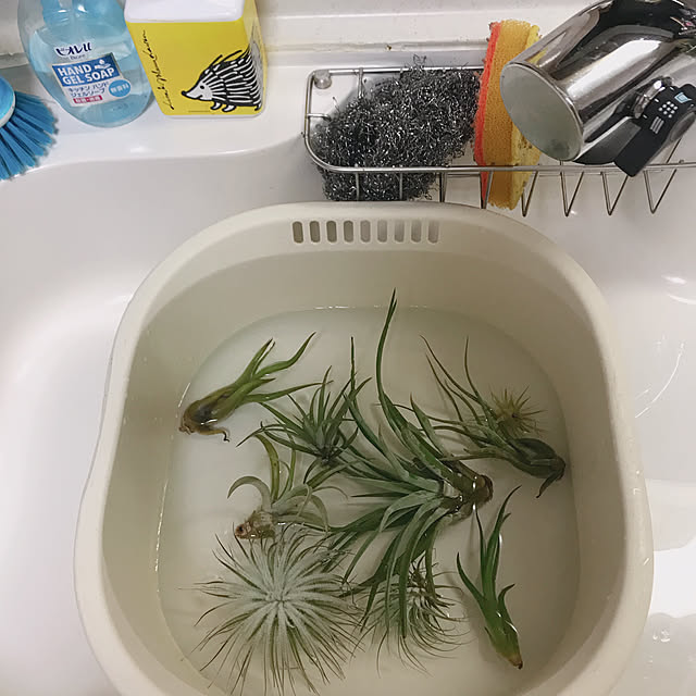 yukaさんの実例写真