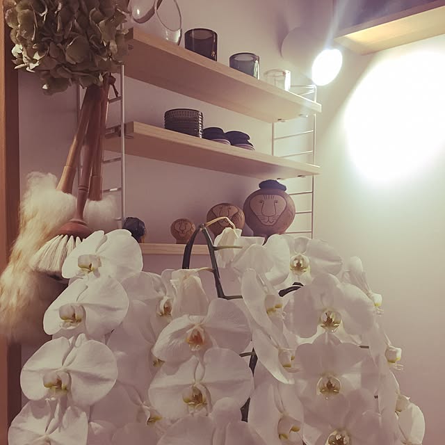 kumaさんの実例写真