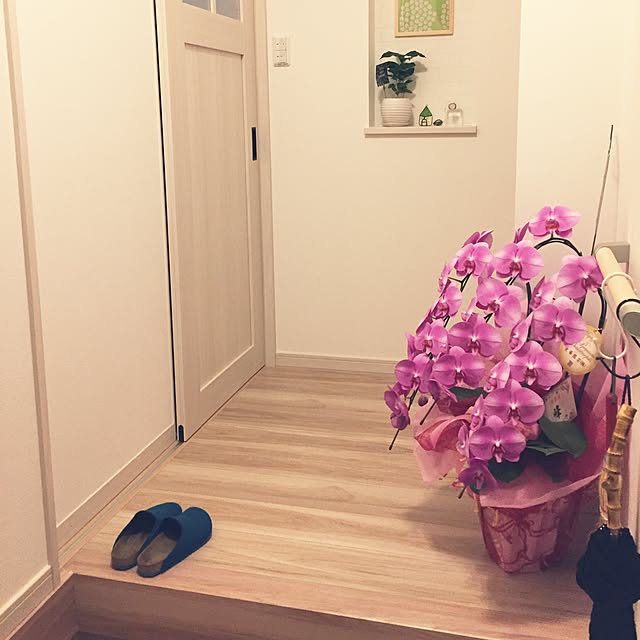 Kumiさんの実例写真