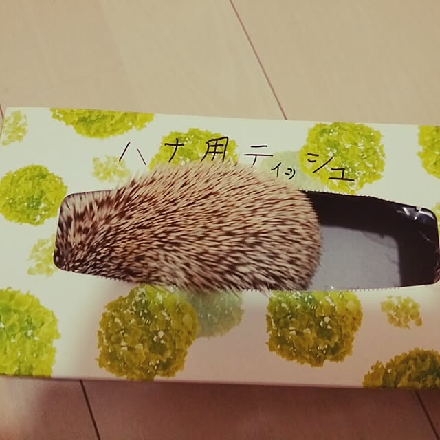 kuruさんの実例写真