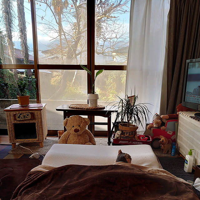 fukuさんの実例写真