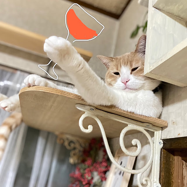 mintteaさんの部屋