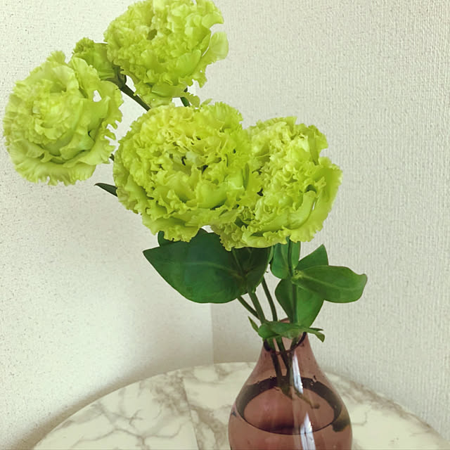 家を少しでも快適に/お花のある暮らし/押し逃げゴメンなさぃ|ω˂̶๑)੭༡/いいね&コメント&フォロー感謝♡/机...などのインテリア実例 - 2021-06-10 13:08:13