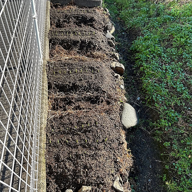 ritsukoさんの部屋